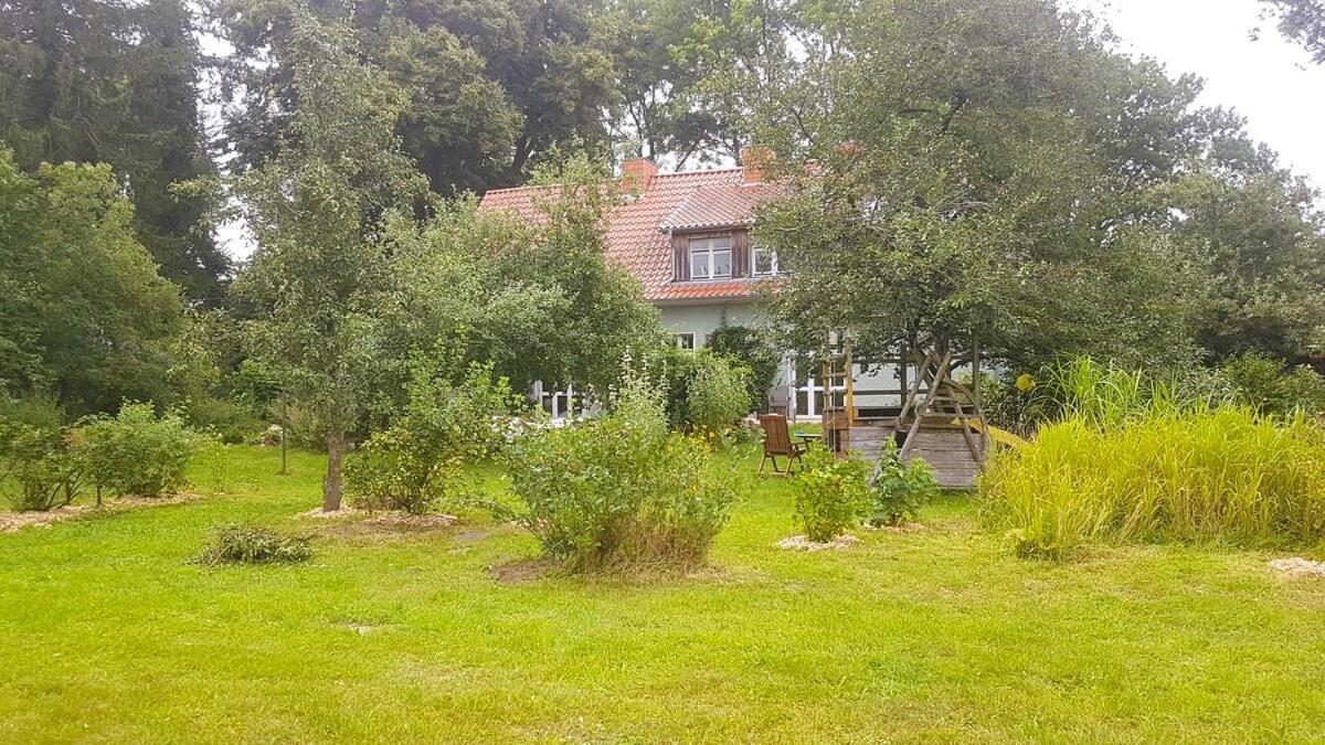 Ferienhaus Salvia Gremersdorf-Buchholz Dış mekan fotoğraf