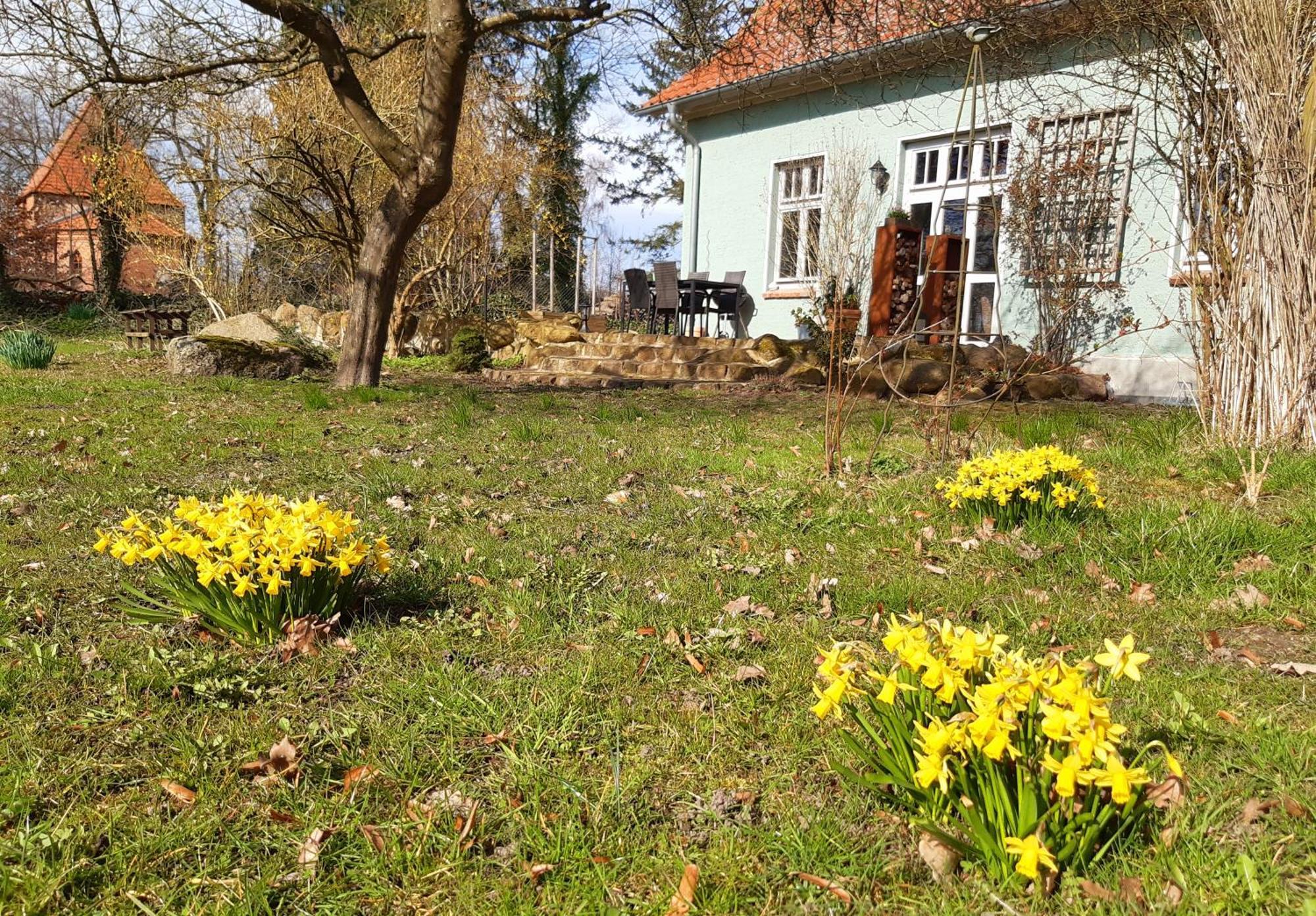 Ferienhaus Salvia Gremersdorf-Buchholz Dış mekan fotoğraf