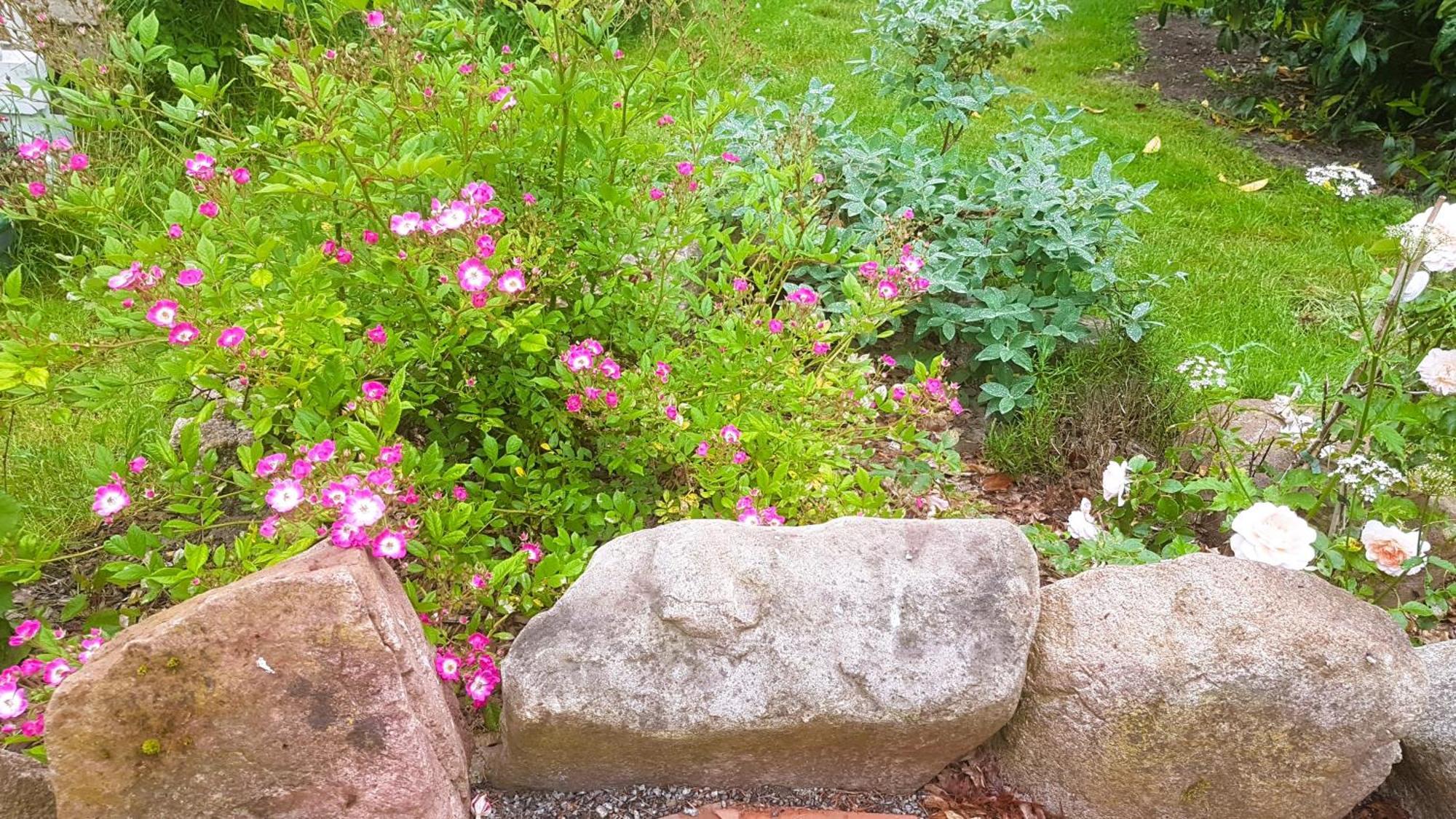 Ferienhaus Salvia Gremersdorf-Buchholz Dış mekan fotoğraf
