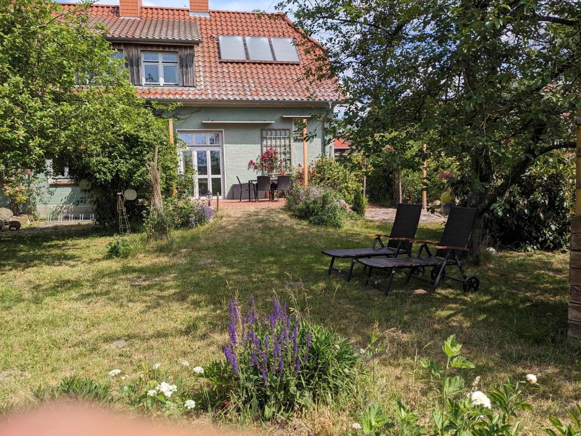 Ferienhaus Salvia Gremersdorf-Buchholz Dış mekan fotoğraf